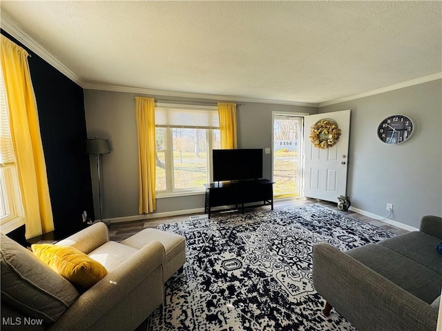 living room featuring baseboards, a textured ceiling, wood finished floors, and crown molding