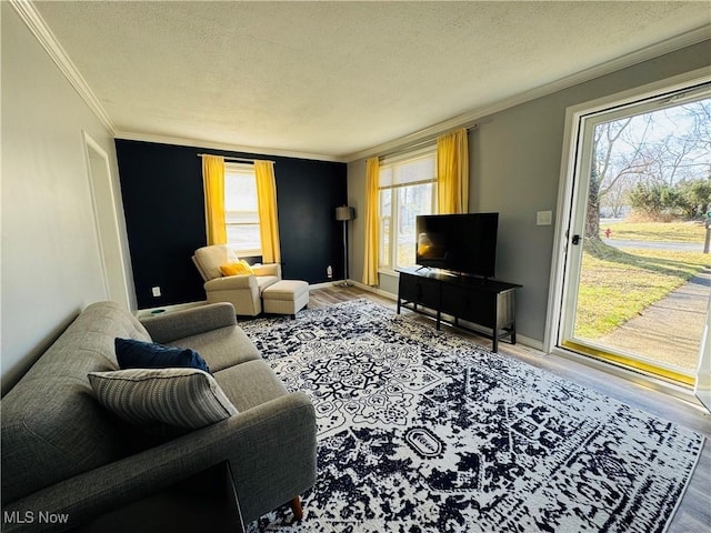 living room with a textured ceiling, wood finished floors, baseboards, and ornamental molding