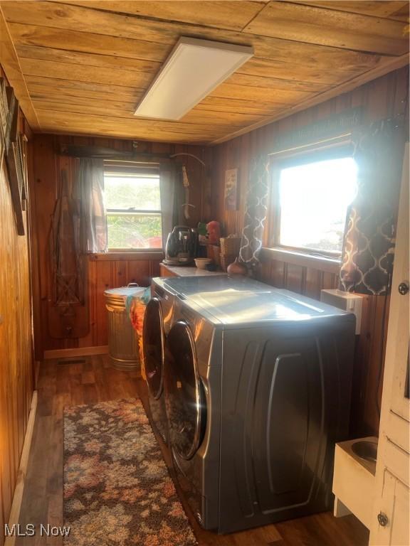 7393 College St, Chesterhill, OH 43728 - photo 16