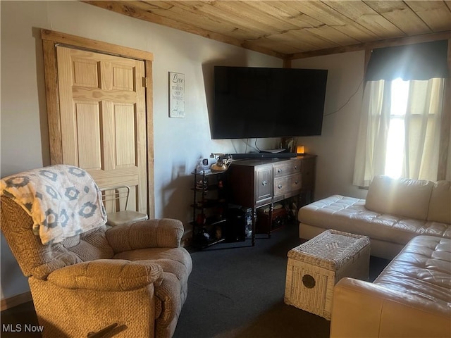 7393 College St, Chesterhill, OH 43728 - photo 27
