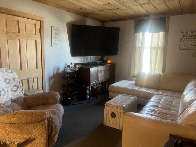 7393 College St, Chesterhill, OH 43728 - photo 28