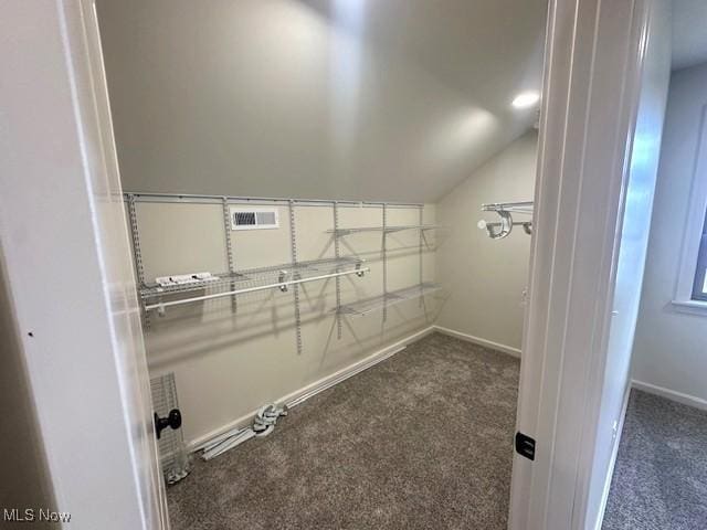 1119 Abbey Pl, Zanesville, OH 43701 - spacious closet with carpet and vaulted ceiling