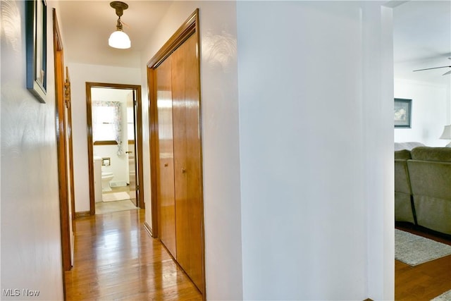 hallway with light wood-style flooring