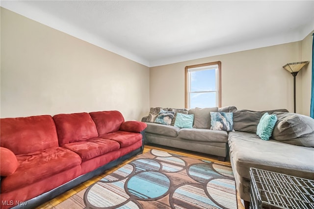 living room featuring wood finished floors