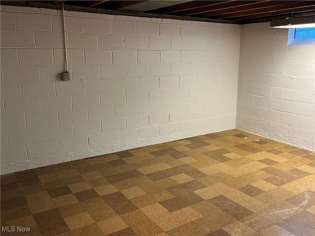 basement with concrete block wall