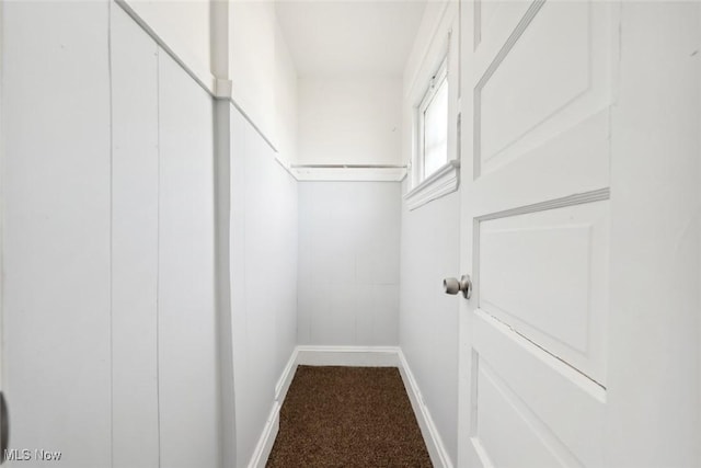 walk in closet featuring carpet floors