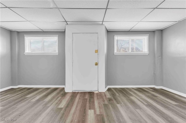 interior space with wood finished floors, a wealth of natural light, and a paneled ceiling