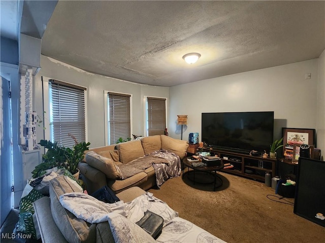 living area with a textured ceiling and carpet floors