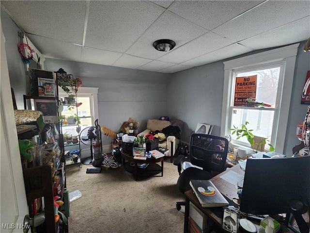 carpeted office featuring a paneled ceiling