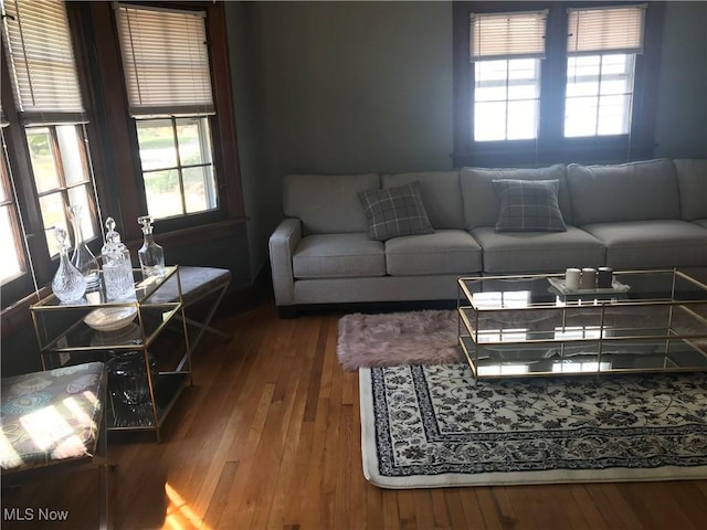 living area with wood finished floors