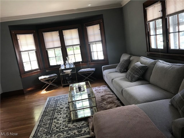 living area featuring wood finished floors, a wealth of natural light, and ornamental molding