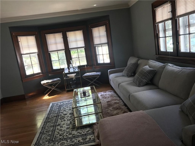 living area featuring a healthy amount of sunlight, ornamental molding, and wood finished floors