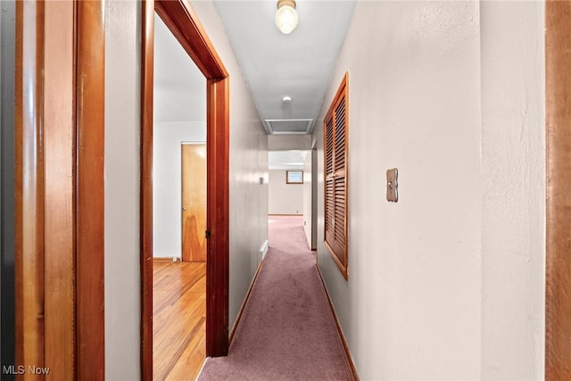 hall featuring attic access, carpet, and baseboards