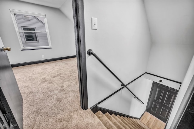 stairway featuring carpet flooring