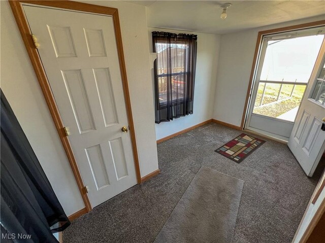 50055 Carroll Rd, East Liverpool, OH 43920 - entryway featuring baseboards and dark carpet