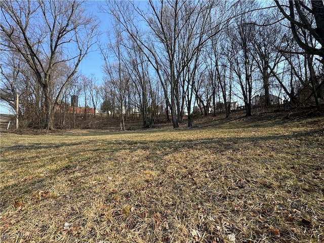 Pearl St, Flushing OH, 43977 land for sale