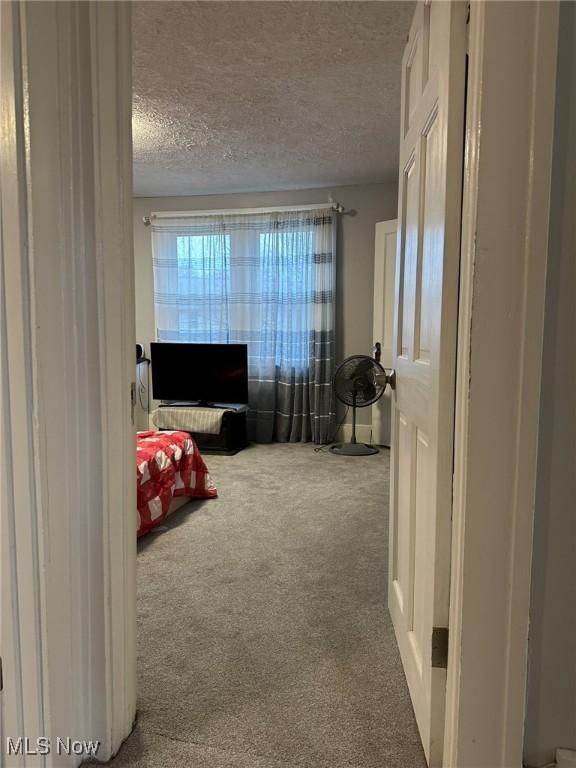 174 Colony Cres, Akron, OH 44305 - bedroom with carpet flooring and a textured ceiling