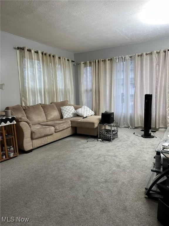 174 Colony Cres, Akron, OH 44305 - living area with carpet floors and a textured ceiling