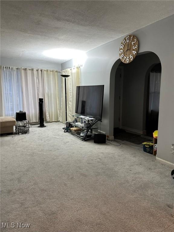 174 Colony Cres, Akron, OH 44305 - carpeted living room with arched walkways and a textured ceiling