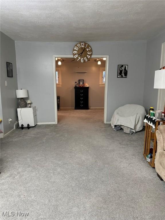 174 Colony Cres, Akron, OH 44305 - living area with a textured ceiling, carpet flooring, and baseboards