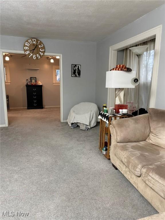 174 Colony Cres, Akron, OH 44305 - living area with carpet floors, a textured ceiling, and baseboards