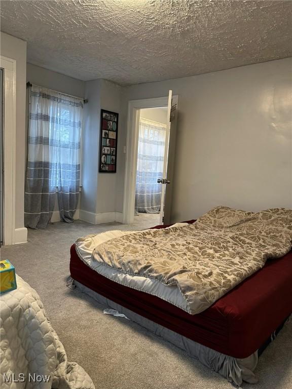174 Colony Cres, Akron, OH 44305 - bedroom with multiple windows, carpet flooring, and a textured ceiling