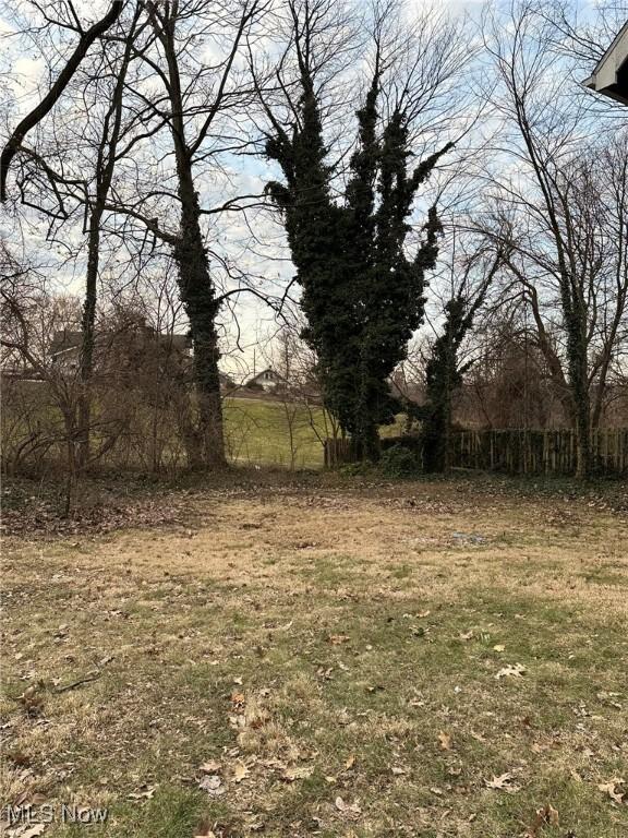 174 Colony Cres, Akron, OH 44305 - view of yard