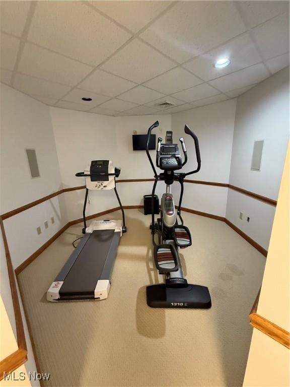 31 Briar Ln, Millersburg, OH 44654 - exercise room featuring a paneled ceiling, baseboards, and carpet floors