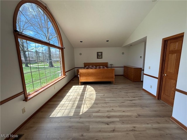 31 Briar Ln, Millersburg, OH 44654 - unfurnished bedroom with high vaulted ceiling, baseboards, multiple windows, and light wood-style floors