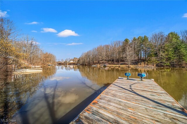 1476 Belvista Ct, Roaming Shores, OH 44085 - photo 16