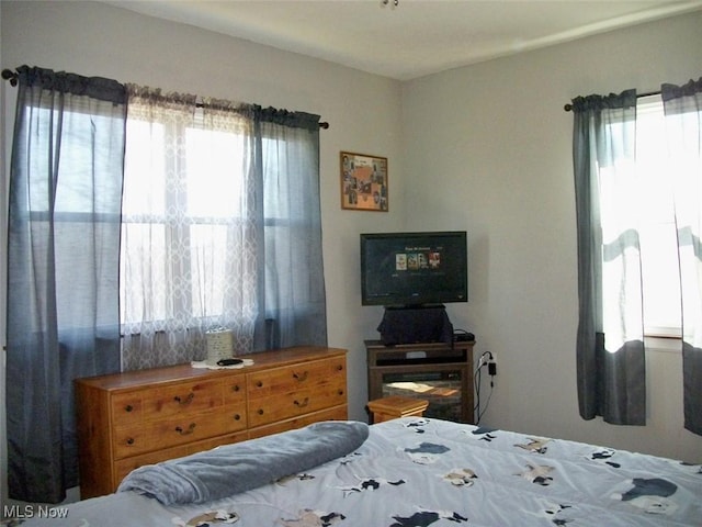8045 State Route 555, Cutler, OH 45724 - bedroom with multiple windows