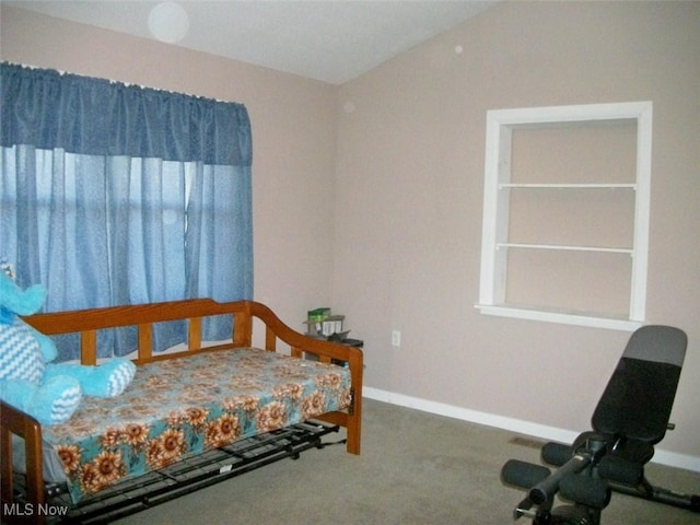 8045 State Route 555, Cutler, OH 45724 - bedroom featuring baseboards, lofted ceiling, and carpet floors