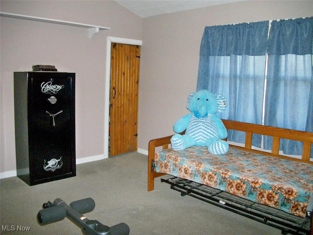 8045 State Route 555, Cutler, OH 45724 - bedroom featuring baseboards, carpet, and lofted ceiling