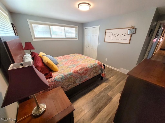 145 Maplewood Ave, Rittman, OH 44270 - bedroom with a closet, baseboards, and wood finished floors