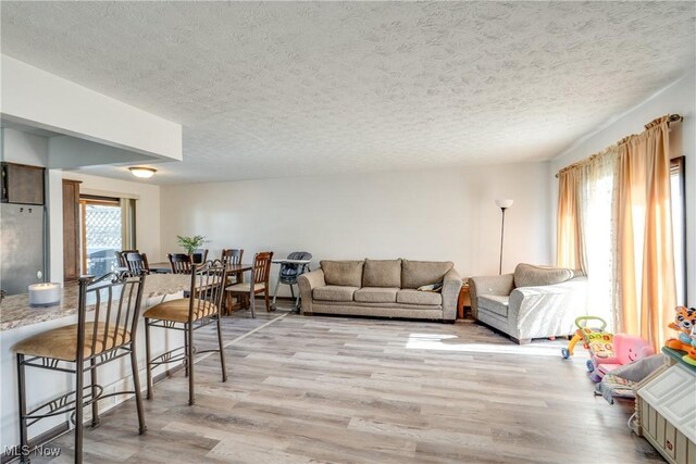 living area featuring plenty of natural light, a textured ceiling, and light wood finished floors