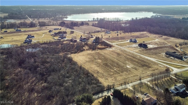 LOT6 Chippewa Rd, Chippewa Lake, OH 44215