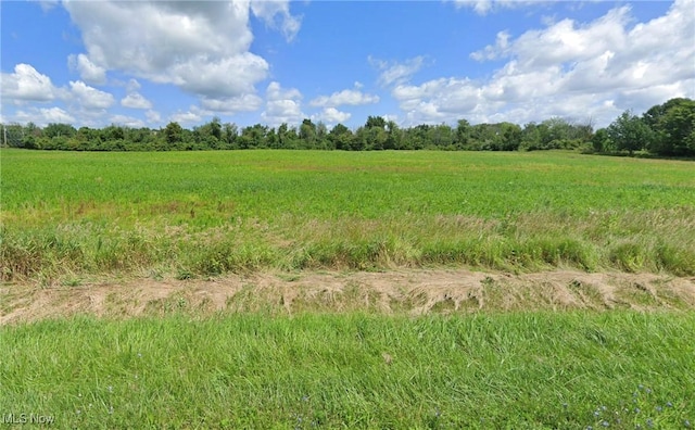 LOT6 Chippewa Rd, Chippewa Lake, OH 44215