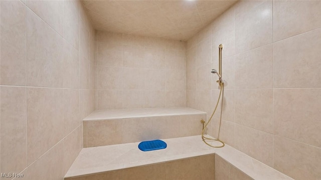 1524 Eagle Watch St NE, Canton, OH 44721 - full bath featuring a tile shower