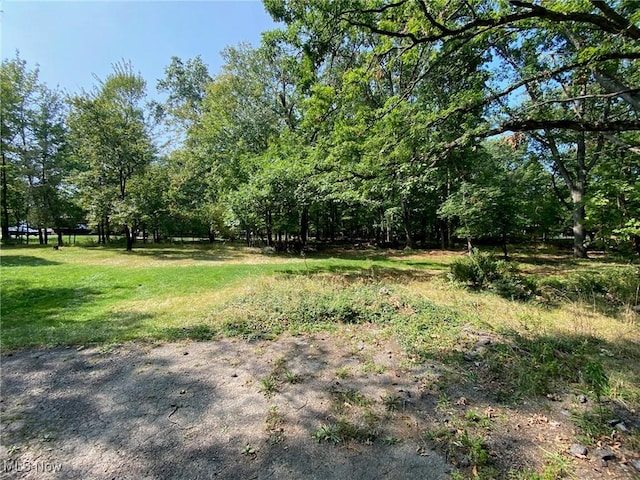 5208 Orchard Park Dr, Parma, OH 44134 - view of yard