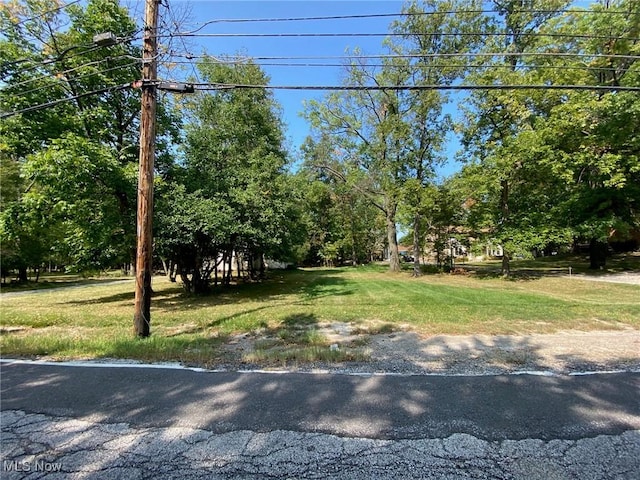 5208 Orchard Park Dr, Parma, OH 44134 - view of yard