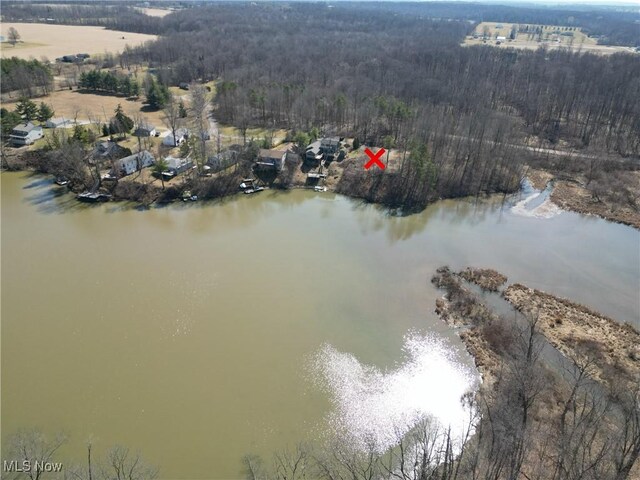11276 Diehl Lake Dr, Berlin Center, OH 44401 - photo 4