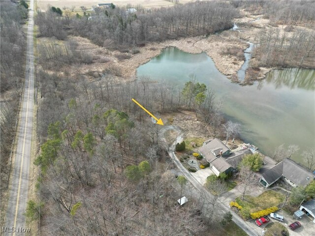 11276 Diehl Lake Dr, Berlin Center, OH 44401 - photo 10