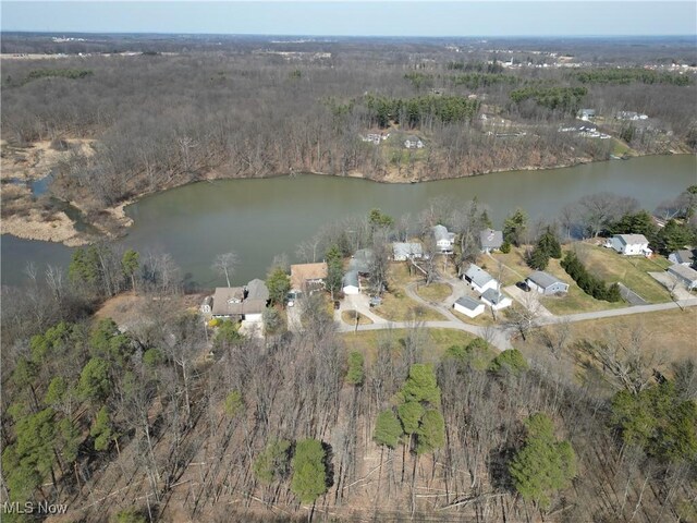 11276 Diehl Lake Dr, Berlin Center, OH 44401 - photo 13