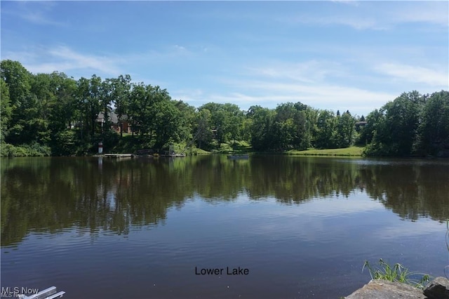 11276 Diehl Lake Dr, Berlin Center, OH 44401 - photo 17