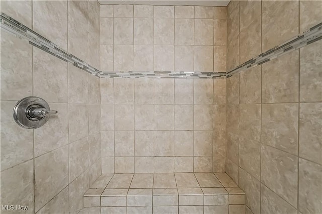 784 Hilliary Ln, Aurora, OH 44202 - bathroom with a tile shower