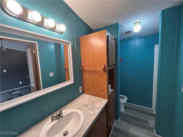 78790 Hamilton Ridge Rd, Freeport, OH 43973 - bathroom featuring vanity, wood finished floors, and a textured ceiling