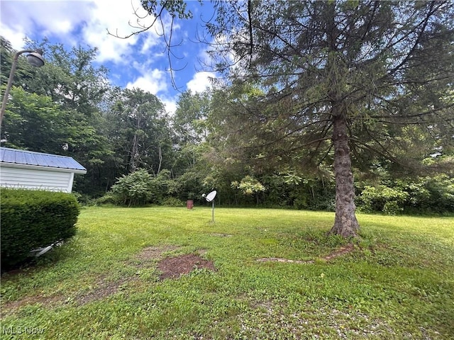 78790 Hamilton Ridge Rd, Freeport, OH 43973 - view of green lawn