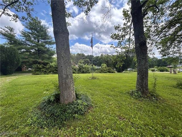 78790 Hamilton Ridge Rd, Freeport, OH 43973 - view of green lawn