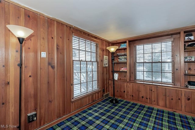 interior space featuring wood walls and dark carpet