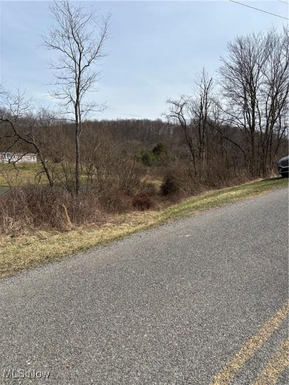 2492 Irish Ridge Rd, East Liverpool, OH 43920 - photo 2